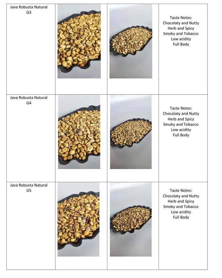 Java Robusta