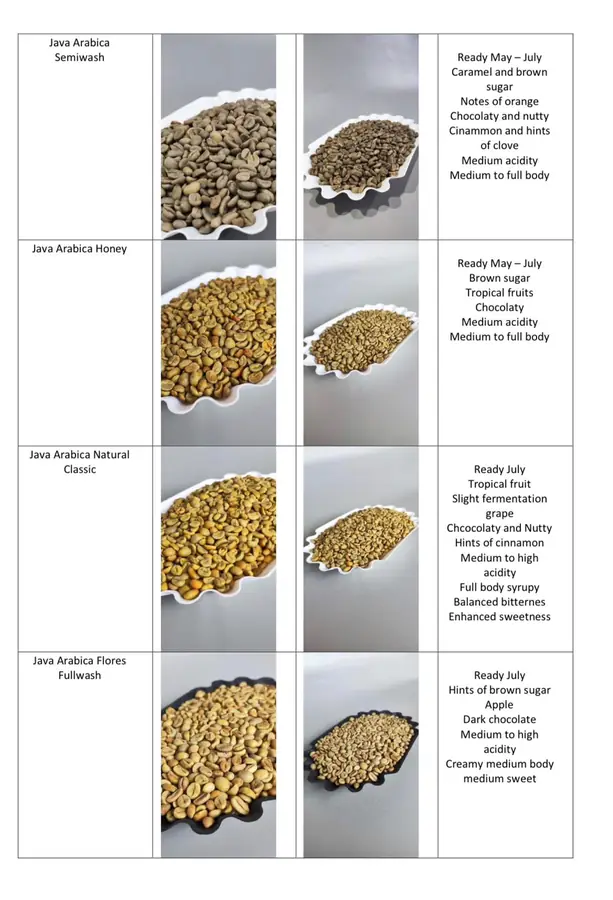Java Arabica
