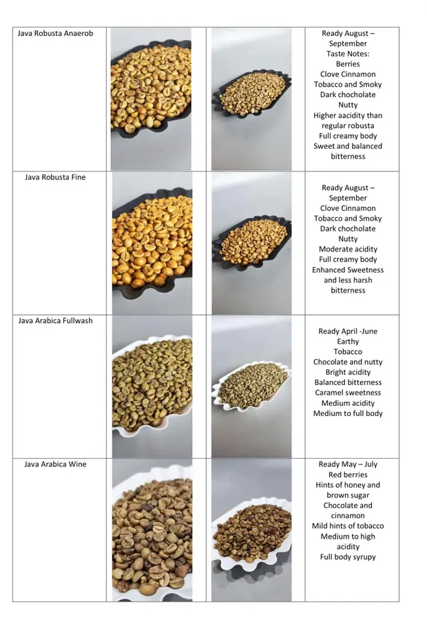 Flores Arabica